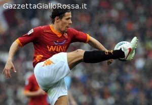 taddei