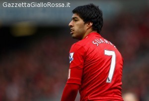 suarez