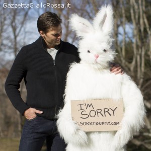 Sorry Bunny