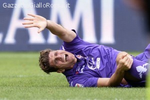 Mario Gomez