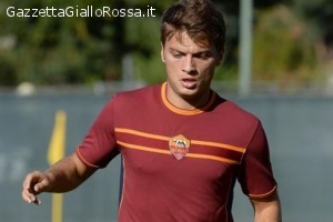 Adem Ljajic