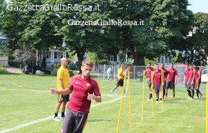 Adem Ljajic