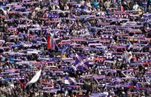 Tifosi Fiorentina