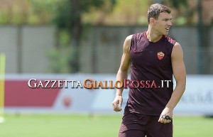 Edin Dzeko