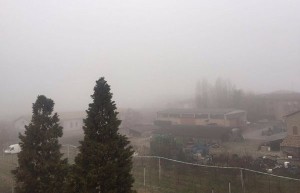 reggio emilia nebbia