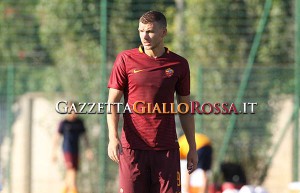 Dzeko